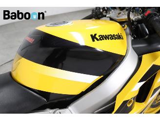 Kawasaki  ZX-6R Ninja picture 24