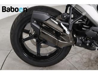 BMW  R 1300 R picture 13