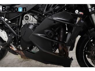 Kawasaki  Ninja H2 SX picture 18