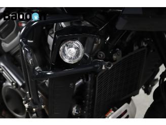 Harley-Davidson  Pan America 1250 Special picture 12