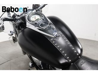 Kawasaki VN 2000  picture 15
