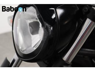 Kawasaki  Vulcan S picture 23