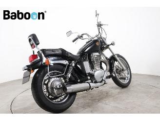 Suzuki LS 650 Savage picture 6