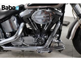 Harley-Davidson  FLSTF Fat Boy picture 12