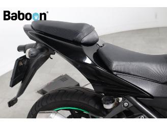 Kawasaki Ninja 250 R  picture 23