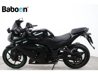 Kawasaki Ninja 250 R  picture 5