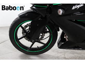 Kawasaki Ninja 250 R  picture 14