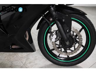 Kawasaki Ninja 250 R  picture 19