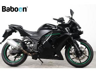 skadebil motor Kawasaki Ninja 250 R  2010/1