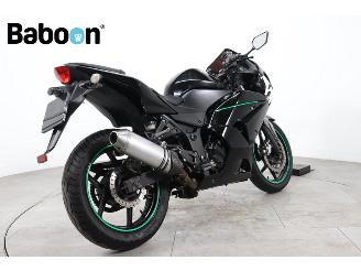 Kawasaki Ninja 250 R  picture 8