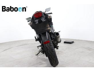 Kawasaki Ninja 250 R  picture 7
