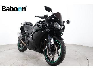 Kawasaki Ninja 250 R  picture 2
