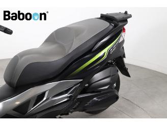 Kawasaki  J 300 ABS picture 12