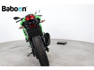 Kawasaki  Ninja 300 picture 3