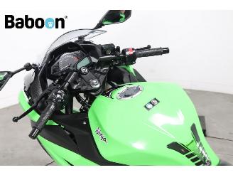 Kawasaki  Ninja 300 picture 17