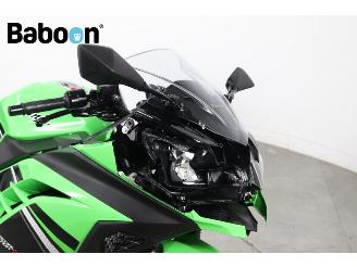 Kawasaki  Ninja 300 picture 9