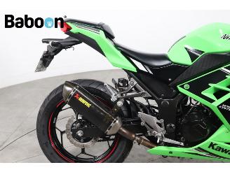 Kawasaki  Ninja 300 picture 13