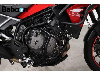 Triumph Tiger 900 GT Pro picture 16