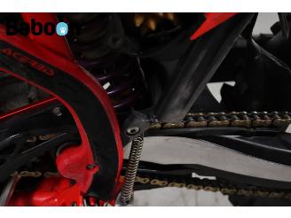   430 RR Enduro picture 11