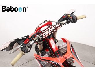   430 RR Enduro picture 9