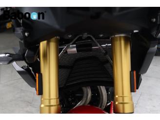 BMW  F 900 XR ABS picture 12