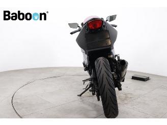 Kawasaki Ninja 250 R  picture 3