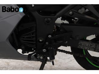 Kawasaki Ninja 250 R  picture 18