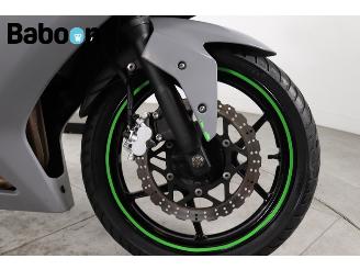 Kawasaki Ninja 250 R  picture 9