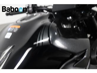 Kawasaki Z 900 ABS picture 12