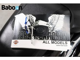 Harley-Davidson  FLFB Softail Fatboy 117 picture 26