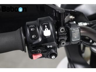 Triumph Tiger 1050 Sport ABS picture 16
