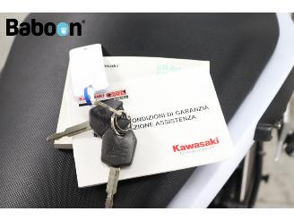 Kawasaki  ER-6 N ABS picture 24