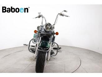 Kawasaki VN 1500 Vulcan Classic Tourer picture 7