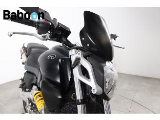 Yamaha  MT 03 picture 16