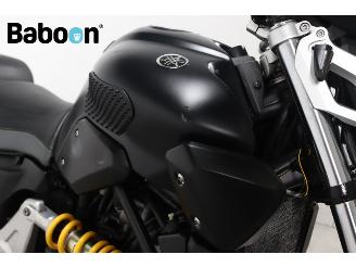 Yamaha  MT 03 picture 17