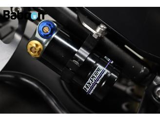 Yamaha FZ 1  picture 24