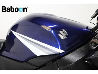 Suzuki GSX-R 1000  picture 19