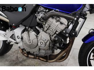 Honda CB 600 F Hornet picture 18