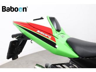 Kawasaki  ZX-10R Ninja picture 20