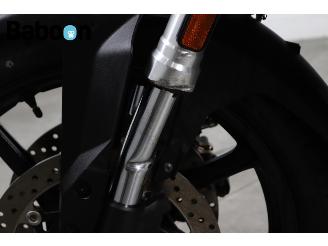 Suzuki  V-Strom 800 picture 14