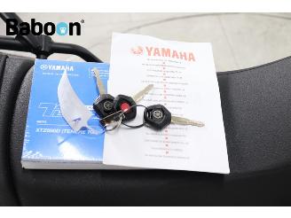 Yamaha  Ténéré 700 World Raid picture 23