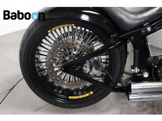 Harley-Davidson  FLSTF Fatboy picture 22