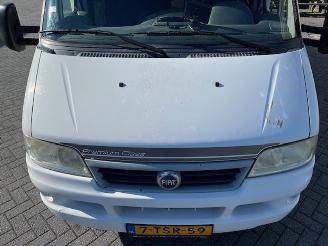 Fiat  Dethleffs Globetrotter Alko-V 2.8 picture 9