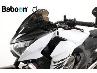 Kawasaki Z 800 ABS picture 16
