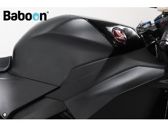 Honda CBR 600 RR picture 21