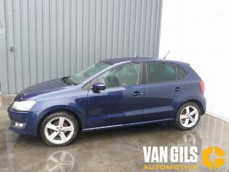 Volkswagen Polo Polo V (6R), Hatchback, 2009 / 2017 1.2 TSI picture 7