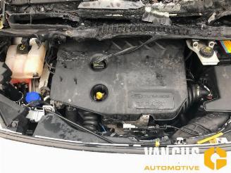 Ford Transit Connect  picture 9