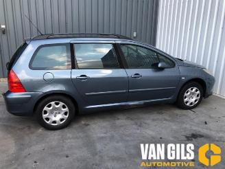Peugeot 307 307 Break (3E), Combi, 2002 / 2009 1.6 16V picture 4