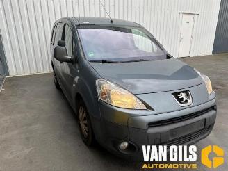 Peugeot Partner Partner (GC/GF/GG/GJ/GK), Van, 2008 / 2018 1.6 HDI 90 16V picture 2