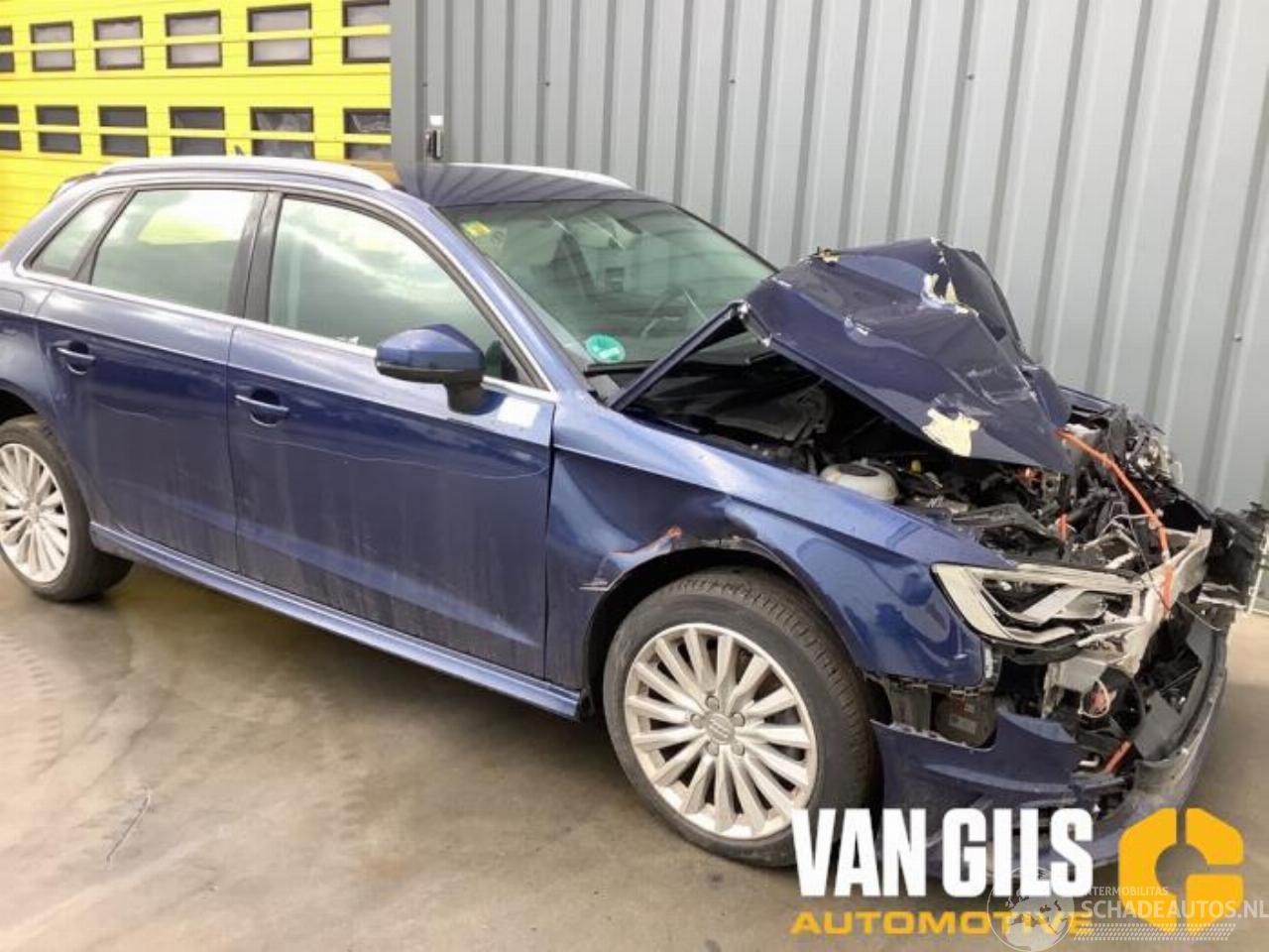 Audi A3 A3 Sportback (8VA/8VF), Hatchback 5-drs, 2012 / 2020 1.4 TFSI 16V e-tron